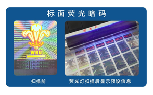化學宅男视频APP